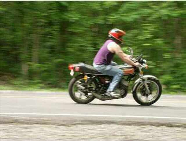 Tomcat enjoying a ride through the Gap